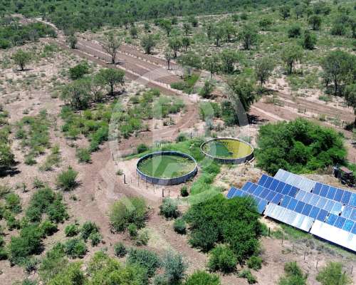 Campo Ganadero- 3.000 Ha en Chuña, Córdoba
