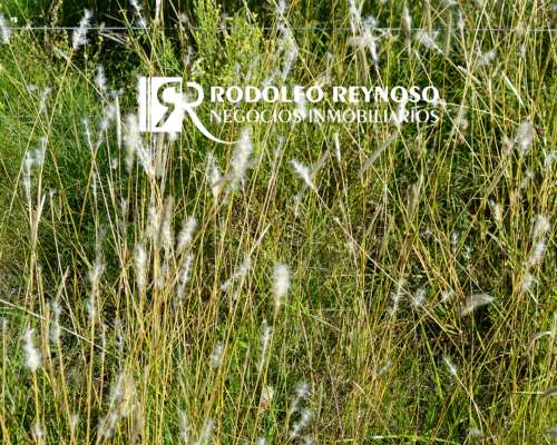 Campo Agrícola en Villa Elisa, Entre Ríos