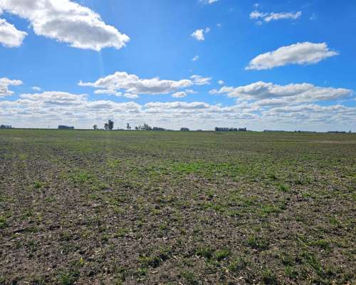 22 Ha Venta Agric-ganad Casa