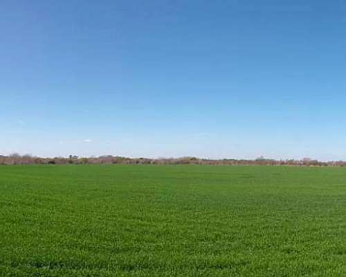8 Ha Campo Agrícola.- a Pocos km de Nogoyá
