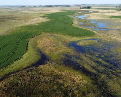 1190 Has. Mixtas. Saladillo.