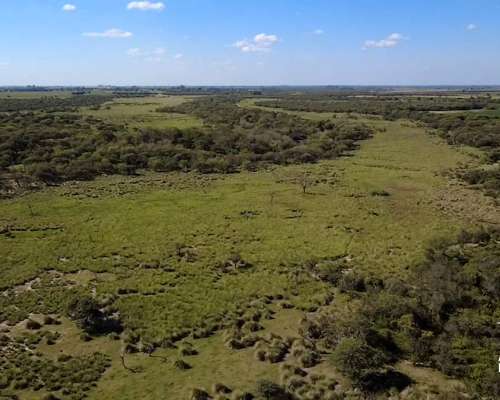 Alquiler Campo Ganadero de 92,56 Ha en Grutly