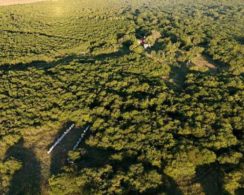 Campo Ganadero sin Mejoras en Perdices Gualeguaychu