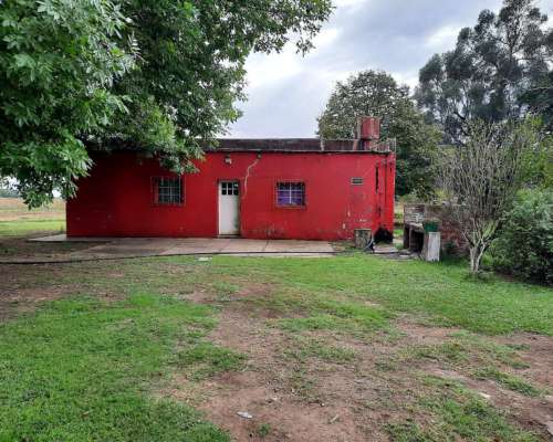 Hermoso Campo de 5,6ha en la Violeta (partido de Pergamino)