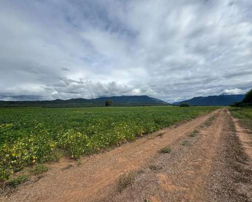Salta: Campo Orilla Río Juramento