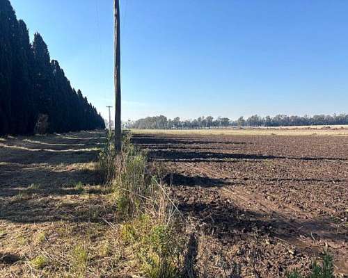 Campo de 2,5 Has en San Pedro Buenos Aires