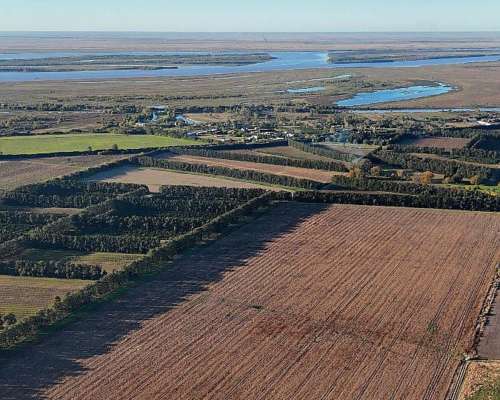 Oportunidad Campo de 31 Hectáreas Agricola