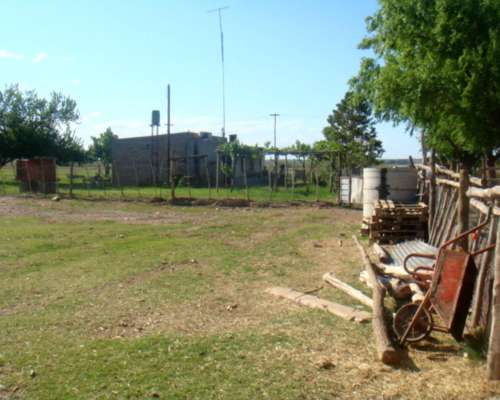 13.5 Ha Bajo R en Valle Verde a 46 km de Catriel Rio Negro.
