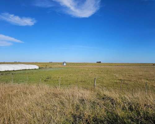 Campo Alquiler Pila Ganadero 1400 Ha