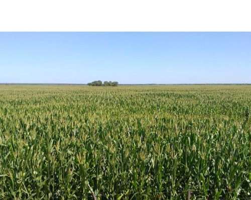 Vendo Campo Obispo Trejo