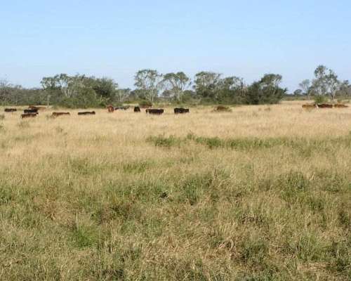 Campo en Argentina para Explotación de Sales Blancas y Rosas