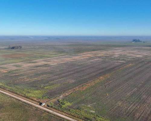 Pcia. de Buenos Aires - Carmen de Areco 66 Has