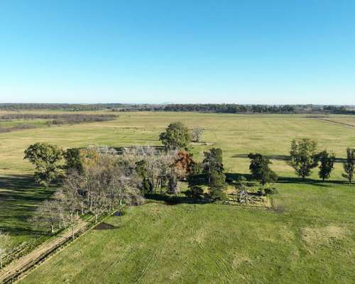 100 Has. Campo en las Heras