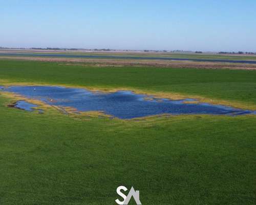 Vende: Campo Agrícola de 430 Hectáreas. Trenque Lauquen