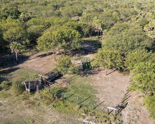 Pcia. de Chaco - Resistencia 4340 Has