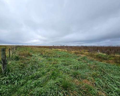 Alquiler Campo Cria 72 Kg/ha