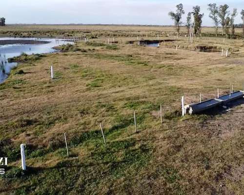 Alquilo 1.482 Ganaderas en Departamento San Martin.