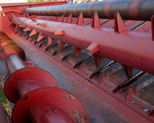 Girasolero Maizco de 10 a 70. año 1998.