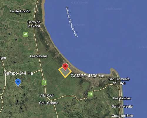 Oportunidad 4500 Ha Ganaderas 35 Kg /HA Campo Costero