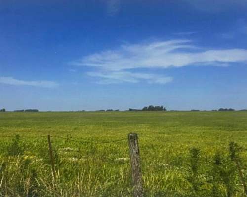 608 HA, Mixto, Azul