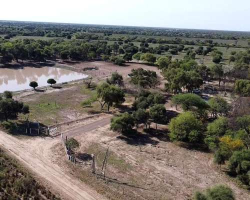 Espectacular Campo de 75 Campo de 750 Has. en Zona Sachayoj.