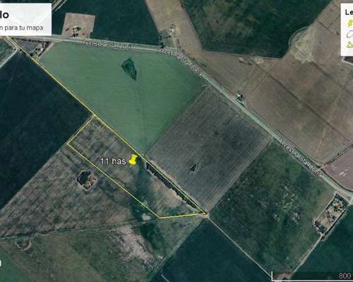 Campo en Venta de 11 Has Agrícolas en San Pedro