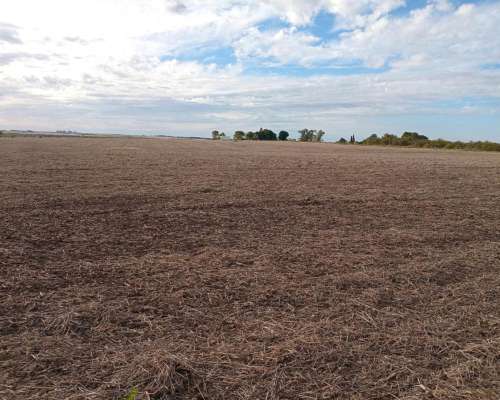 112 Ha Don Cristobal. 80 Ha Agrícolas