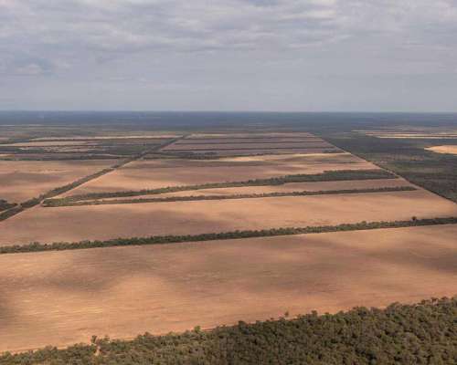 Pcia. de Salta - Apolinario Saravia 6390 Has