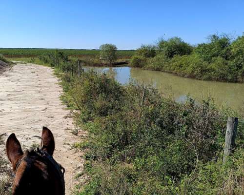 Campo Mixto Agrícola-ganadero en Venta – Dpto. 9 de Julio