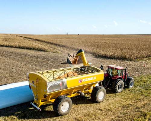 Tolva Autodescargable Ascanelli Magnum+ 30 TN, Nueva.