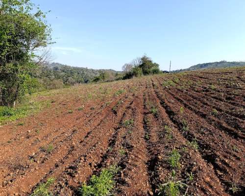 Oferta Chacra con Monte Nativo