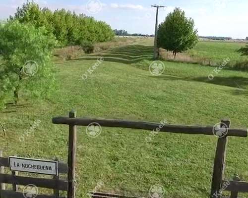 21 Has en Venta en Lobos - Ideal Urbanización Sobre Ruta