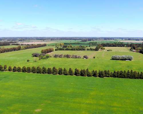 74 Has en Campana, BS. AS. - Agrícola/desarrollo - Venta