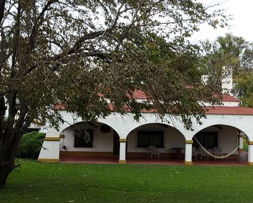 Establecimiento “don Angel” Campo en Venta– Suipacha, Buenos