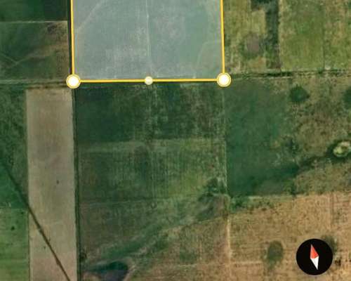 200 Ha SE Venden en Angélica