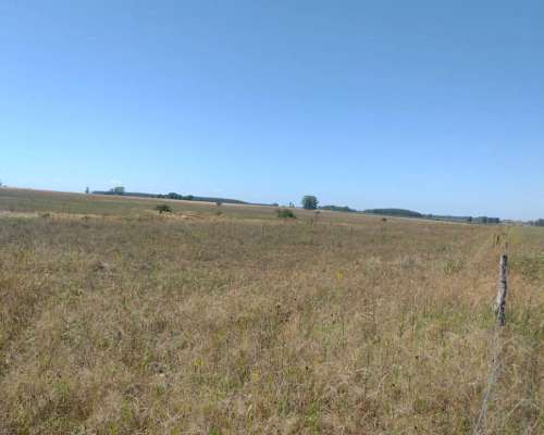 Campo Agricola Ganadero de 35 Hectareas
