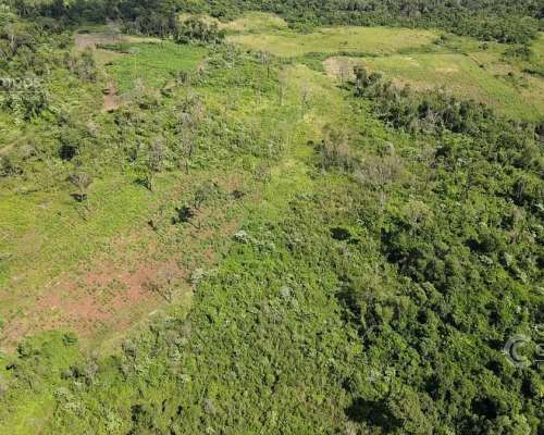 Chacra en Santo Pipo, 44 Ha Forestación, Yerba y Monte