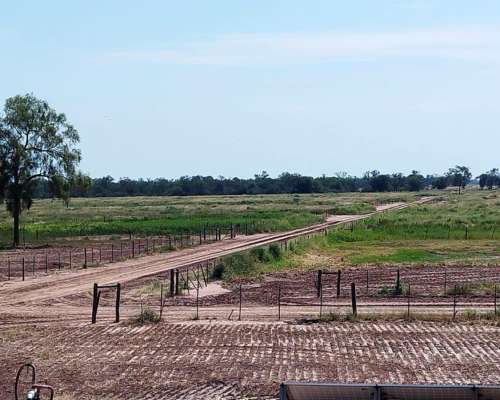 Joaquin V Gonzalez, Anta, Salta - 5.500 Ha