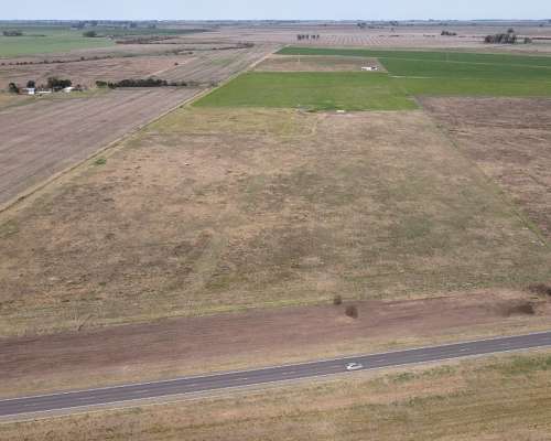 10 Hectáreas Agrícolas a 500 Metros de Ruta, Gualeguaychú.