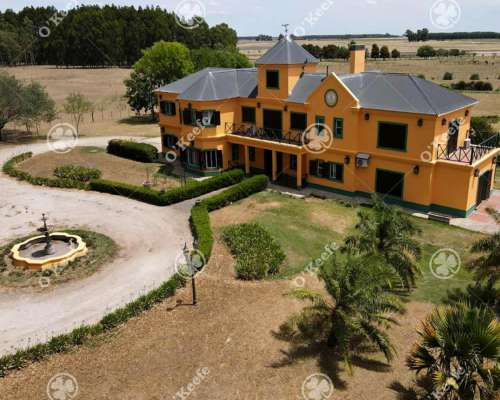 Campo en Venta 50 Has en Punta Indio. Excelente Casco.