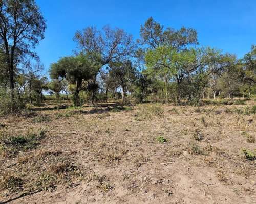 1250ha a 45km de Taco Pozo, Chaco