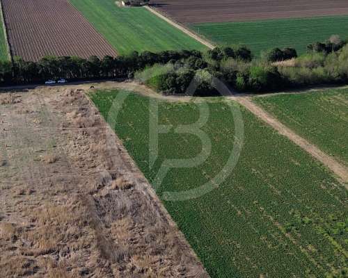 Terreno 20.000 M2 en Córdoba- Camino a San Carlos