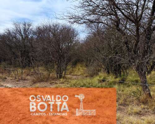 Campo Ganadero – 6.200has – Rucanelo, la Pampa