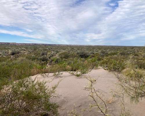 550 HA- Arena Silicea-valle Rio Colorado-peñas Blancas