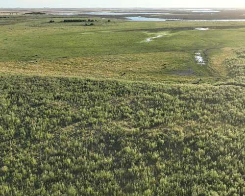 Paraje Pavón, General Lavalle, Buenos Aires - 4.784 Ha