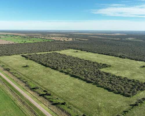 3780 Has. Campo Mixto S/ Ruta en Alpachiri, la Pampa