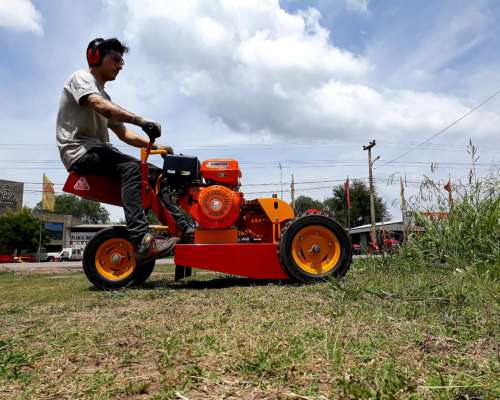 Motodesmalezedora PRO C/motor Brigg y Stratton 13.5 HP 1009