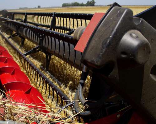 Nueva V-1550 - Nuevo Motor