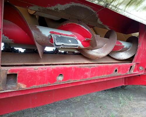 Maicero Maizco de 10 a 52