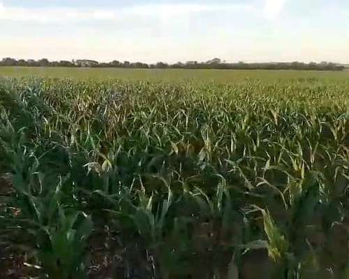 Sarmiento, Provincia de Córdoba. Paraje el Cinco.
